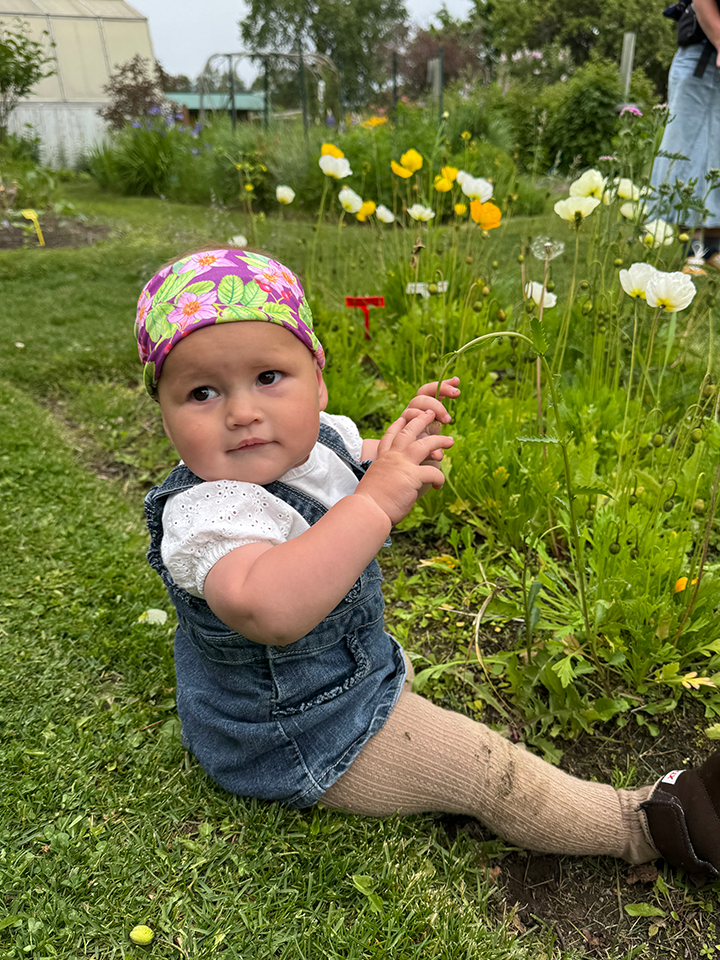 Baby Headbands
