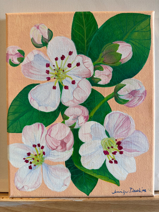 Apple Blossoms Acrylic on 8"x10" canvas original