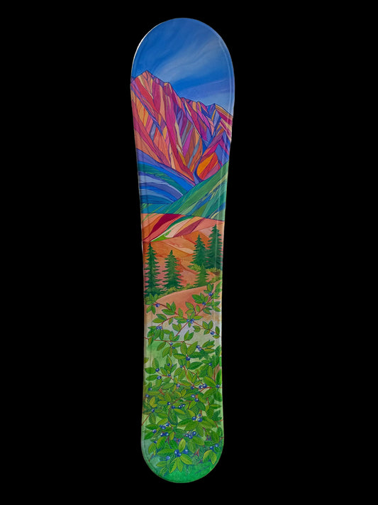 Colorful hand painted snowboard. Bright mountains with blueberry foreground. Ready to hang